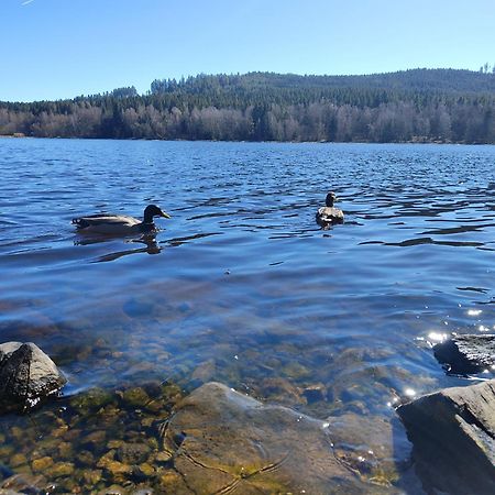 Lipno Pearl 4 Διαμέρισμα Lipno nad Vltavou Εξωτερικό φωτογραφία