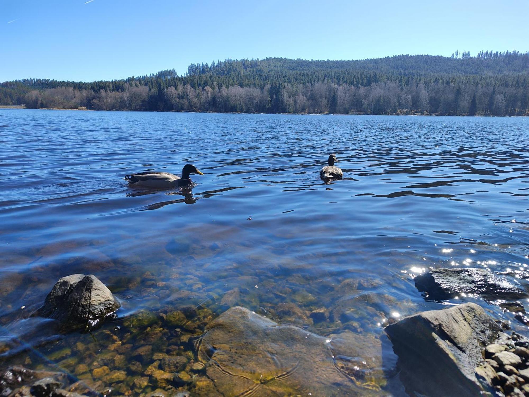 Lipno Pearl 4 Διαμέρισμα Lipno nad Vltavou Εξωτερικό φωτογραφία